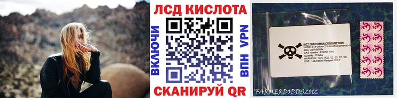 Наркотические марки 1,8мг  как найти закладки  Сосновый Бор 