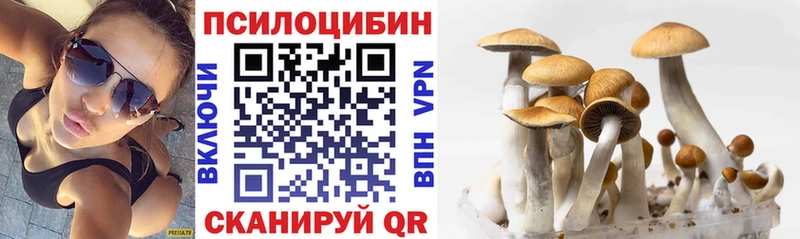 blacksprut tor  Сосновый Бор  Псилоцибиновые грибы прущие грибы 
